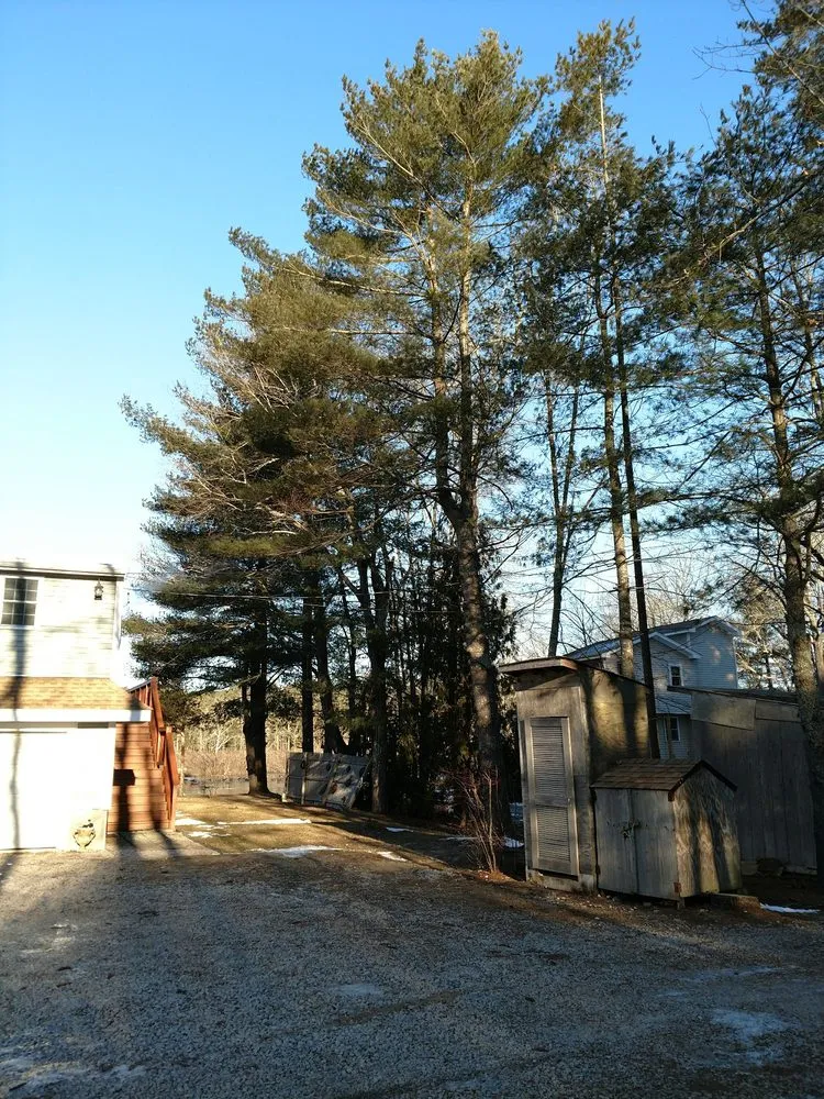 Reliable landscape installation in Wyoming, RI by Right Coast Landscapes