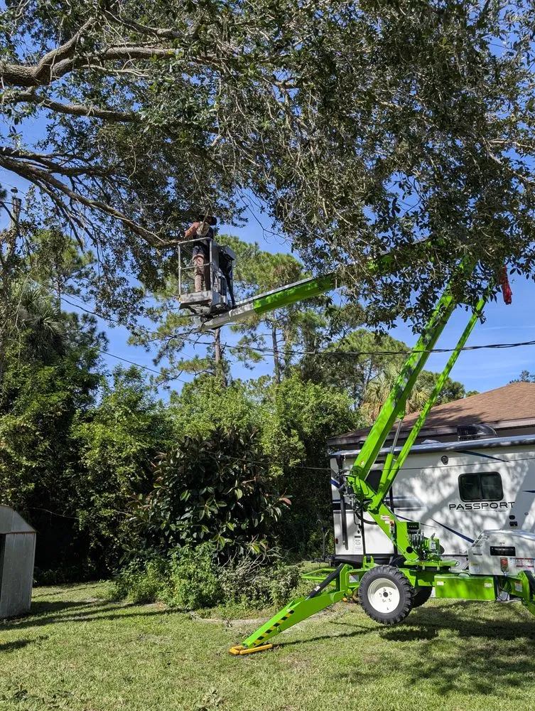 Expert outdoor landscaping experts serving Melbourne, FL - Right Coast Tree Care