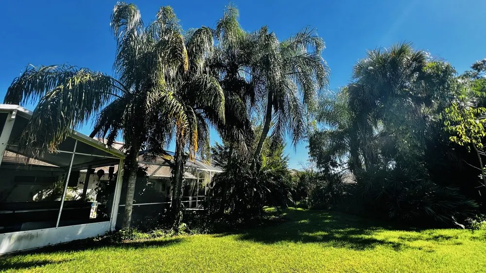 Reliable lawn mowing service with custom design across Melbourne, FL - Right Coast Tree Care