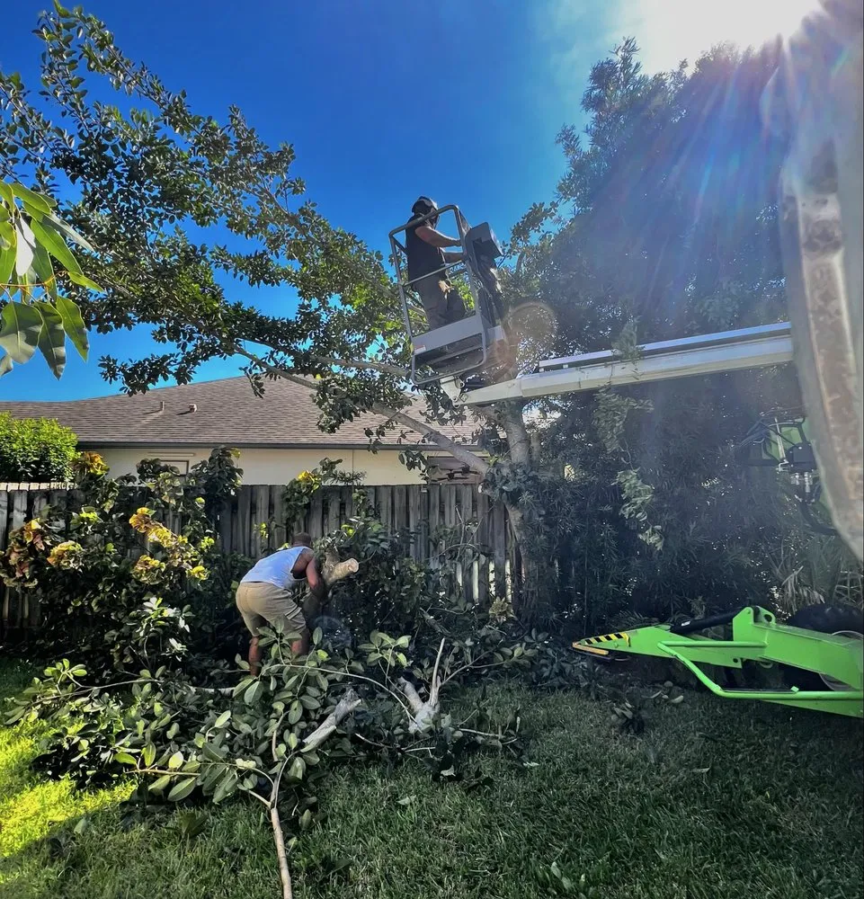 Trusted landscaping services experts serving Melbourne, FL - Right Coast Tree Care