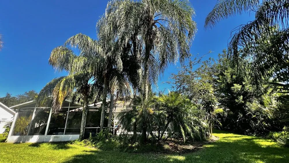 Expert garden landscaping in Melbourne, FL - Right Coast Tree Care