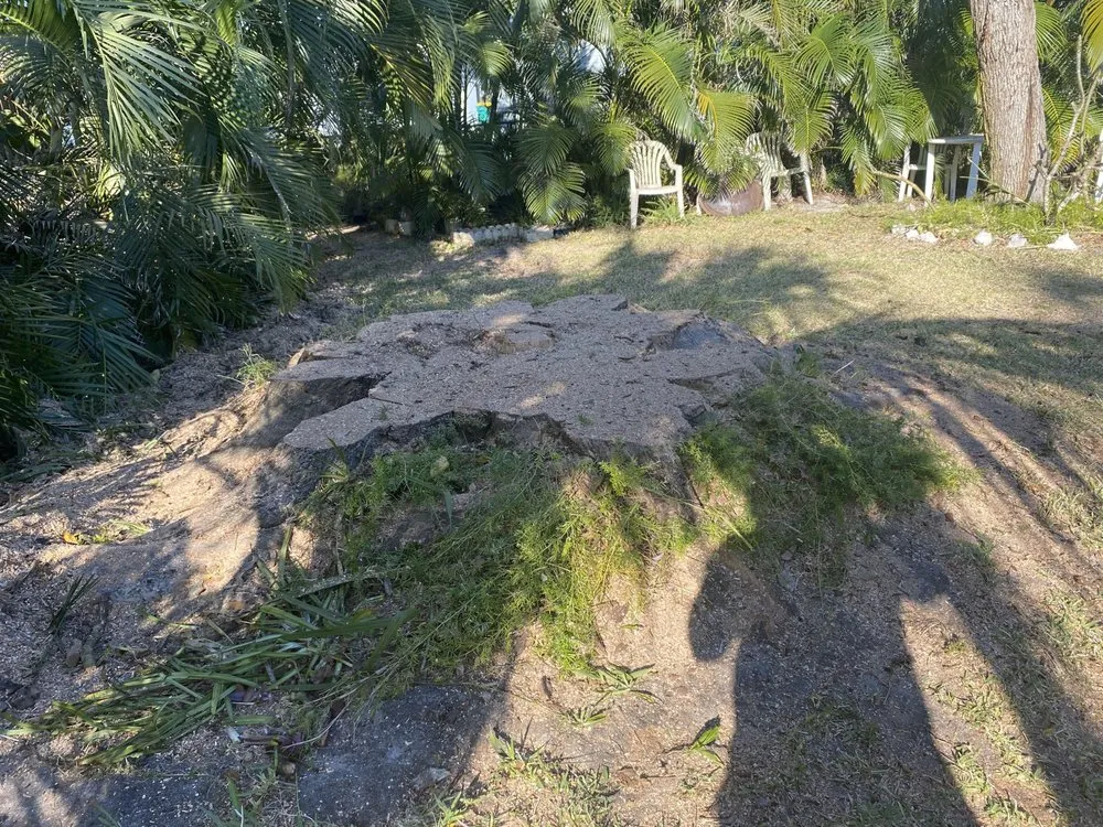 Trusted lawn mowing service experts serving Melbourne, FL - Right Coast Tree Care