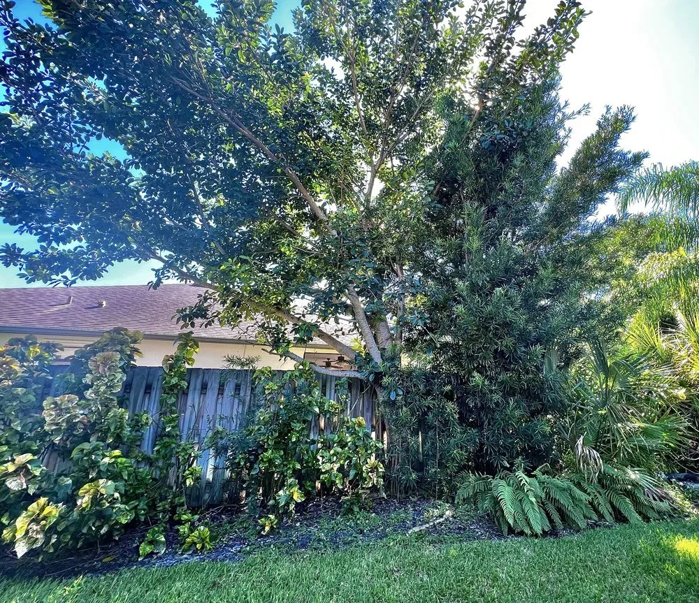 Local residential landscaping near you in Melbourne, FL by Right Coast Tree Care