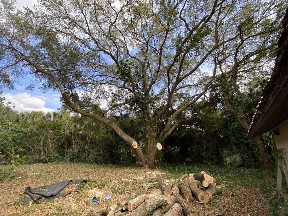 Custom landscape design experts serving Melbourne, FL - Right Coast Tree Care