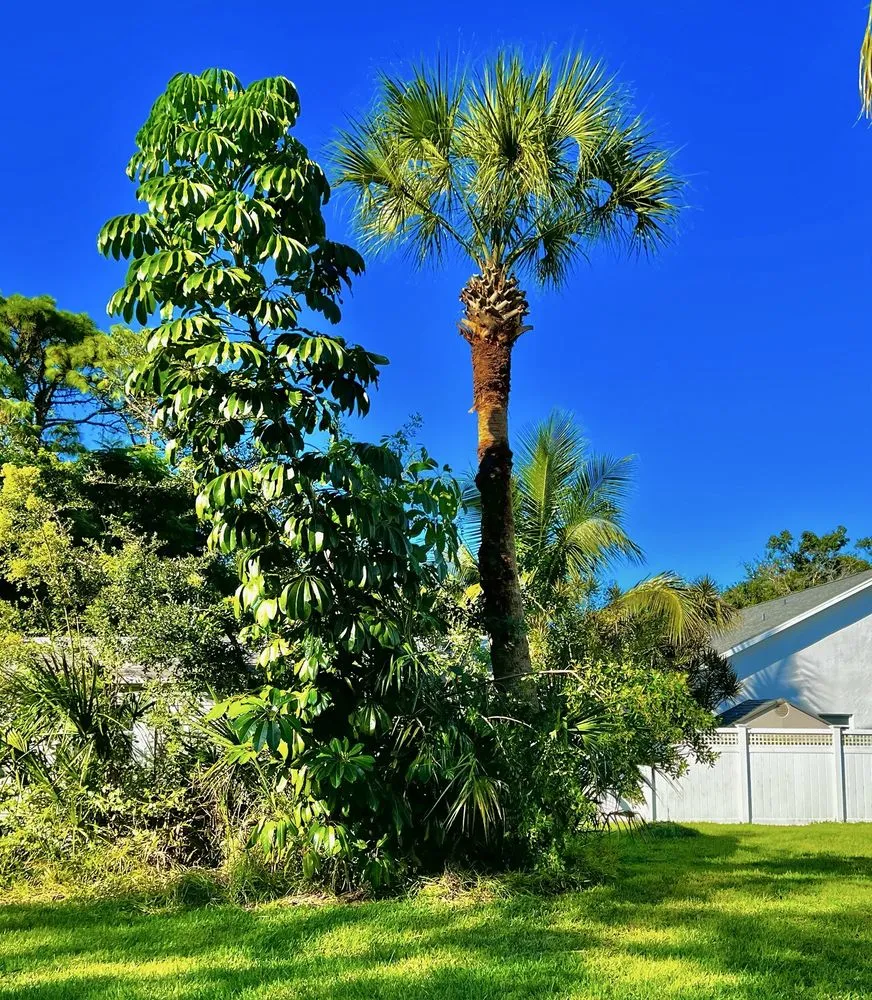 Top-rated landscape installation with custom design in Melbourne, FL by Right Coast Tree Care