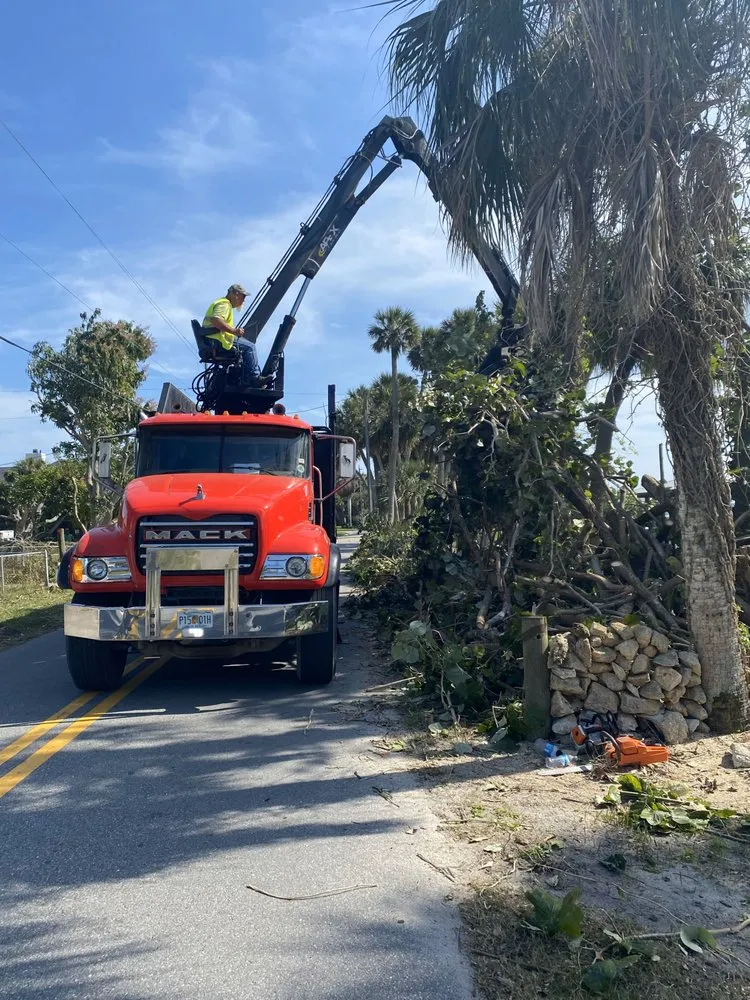 Expert yard maintenance experts serving Melbourne, FL - Right Coast Tree Care