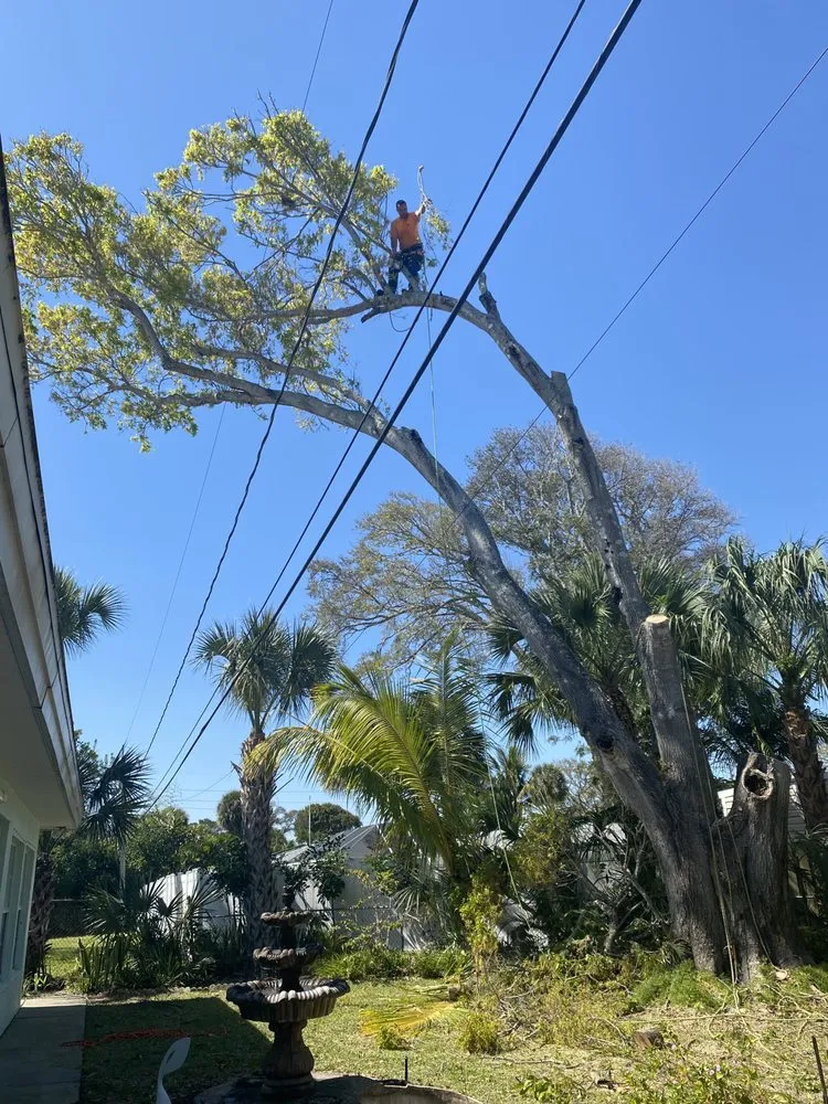 Professional lawn care service for year-round maintenance across Melbourne, FL - Right Coast Tree Care