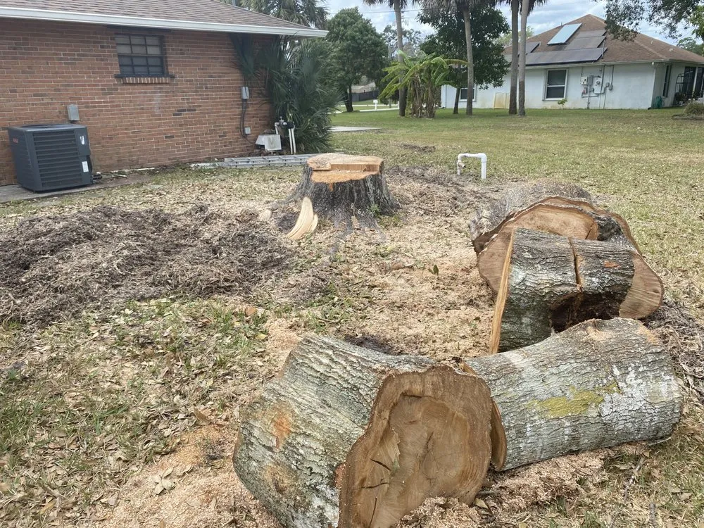 Local landscape design in Melbourne, FL by Right Coast Tree Care