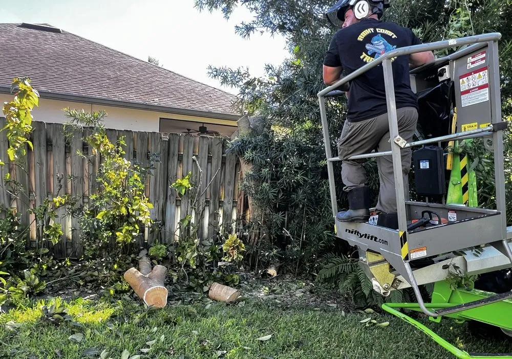 Top-rated residential landscaping experts serving Melbourne, FL - Right Coast Tree Care