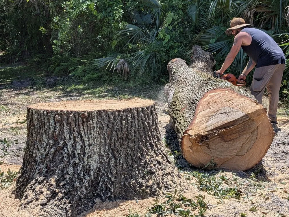 Local landscape installation for beautiful yards across Melbourne, FL - Right Coast Tree Care