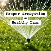 Trusted outdoor landscaping experts serving Lancaster, SC - Right Cut Lawn Care and Tree Service