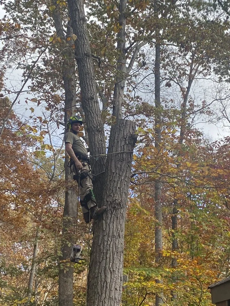 Professional lawn mowing service in Woodford, VA by Right Cuts Tree Service & Landscaping