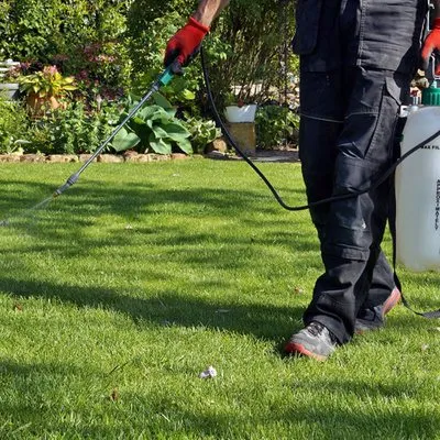 Right Edge Lawn Care Logo