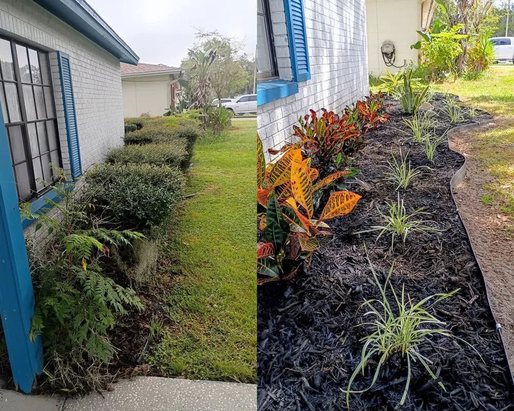Professional yard maintenance in Riverview, FL by Right Hand Dan