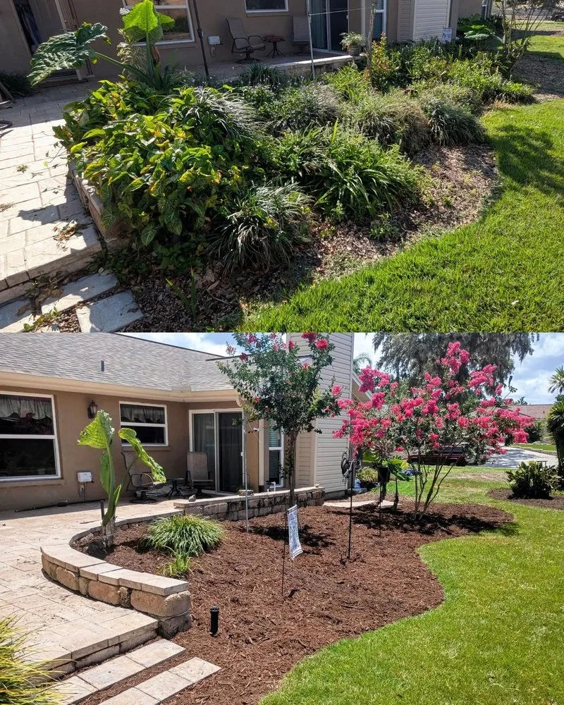 Trusted residential landscaping for beautiful yards across Riverview, FL - Right Hand Dan