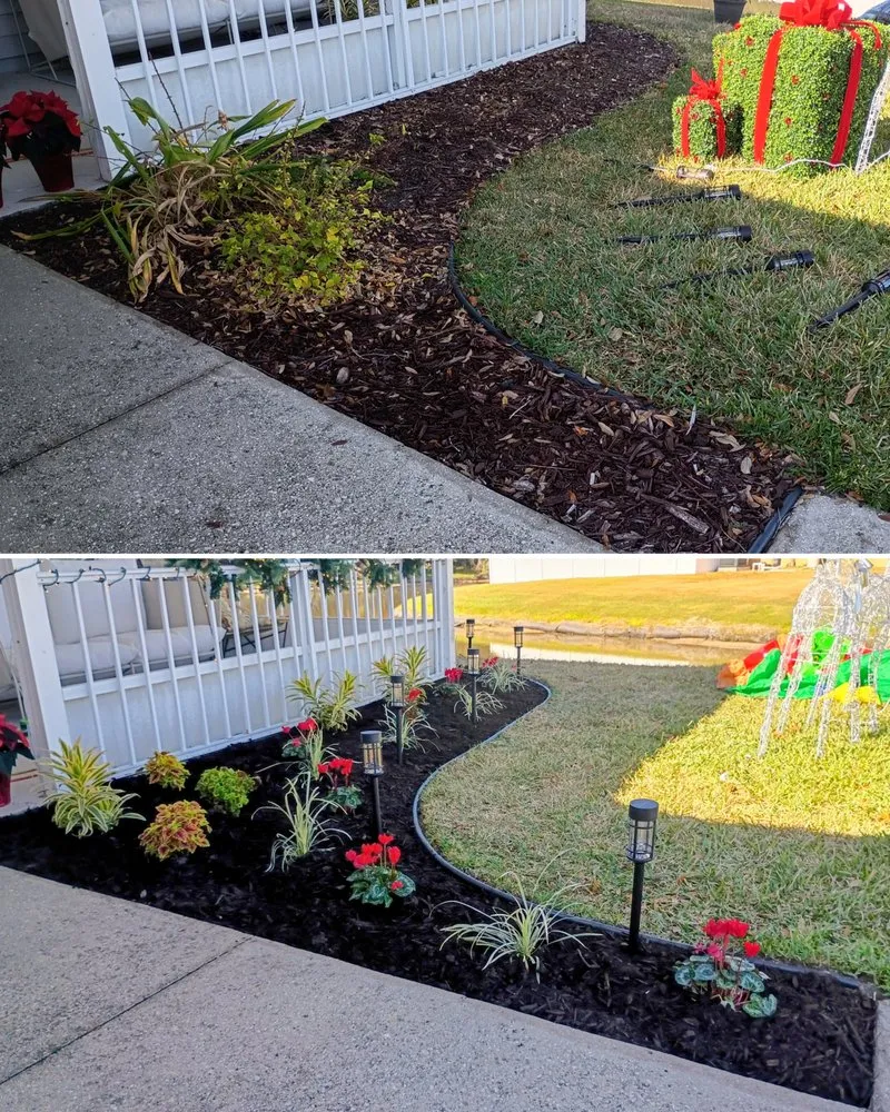 Expert yard cleanup service near you across Riverview, FL - Right Hand Dan