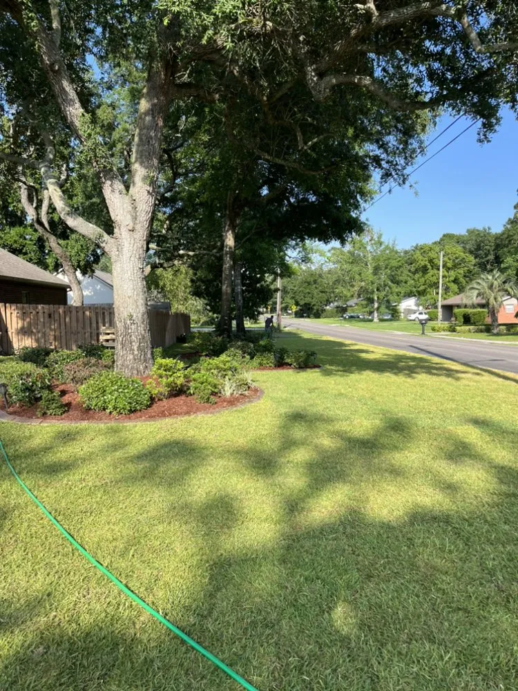 Top-rated lawn mowing service for residential properties in Biloxi, MS by Right Handyman Services