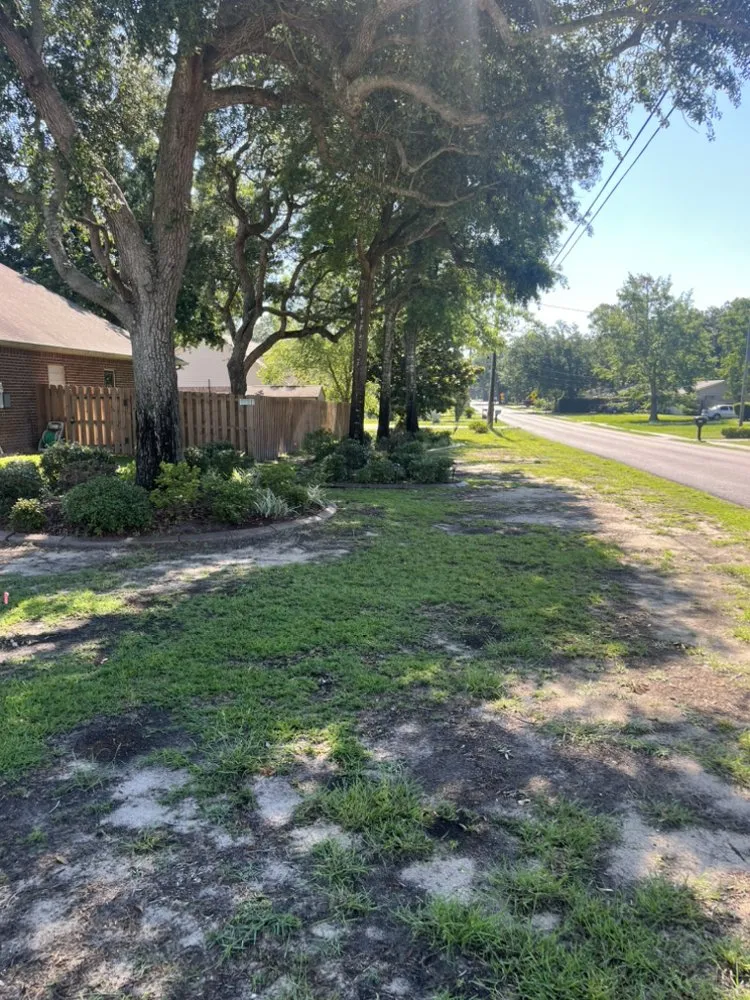 Affordable landscape design near you across Biloxi, MS - Right Handyman Services