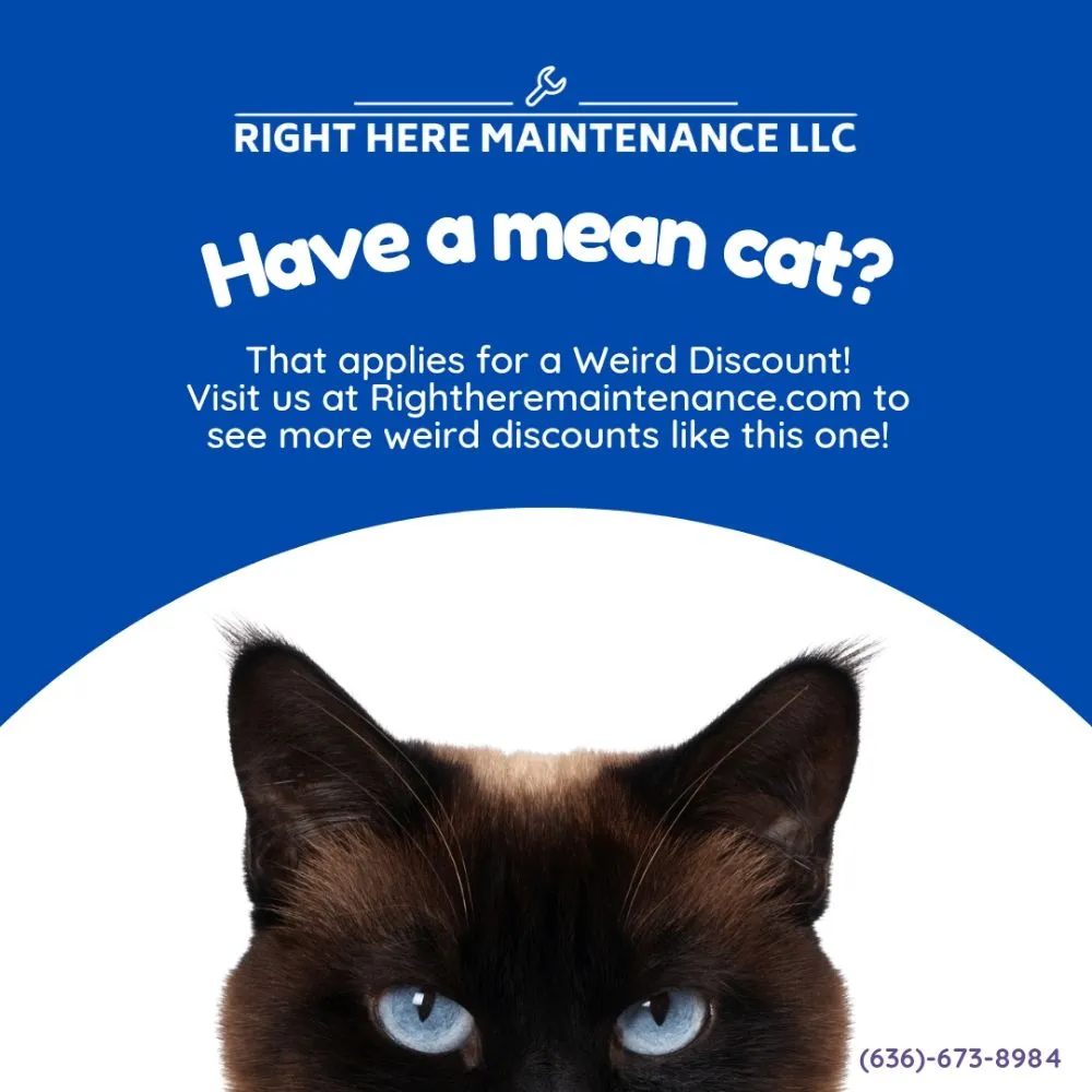 Local landscape installation in Springfield, MO - Right Here Maintenance