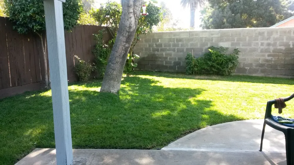 Professional lawn care service in Patterson, CA by Right Landscaping Inc
