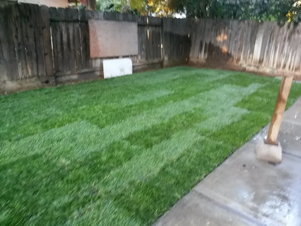 Reliable landscape installation for year-round maintenance in Patterson, CA by Right Landscaping Inc
