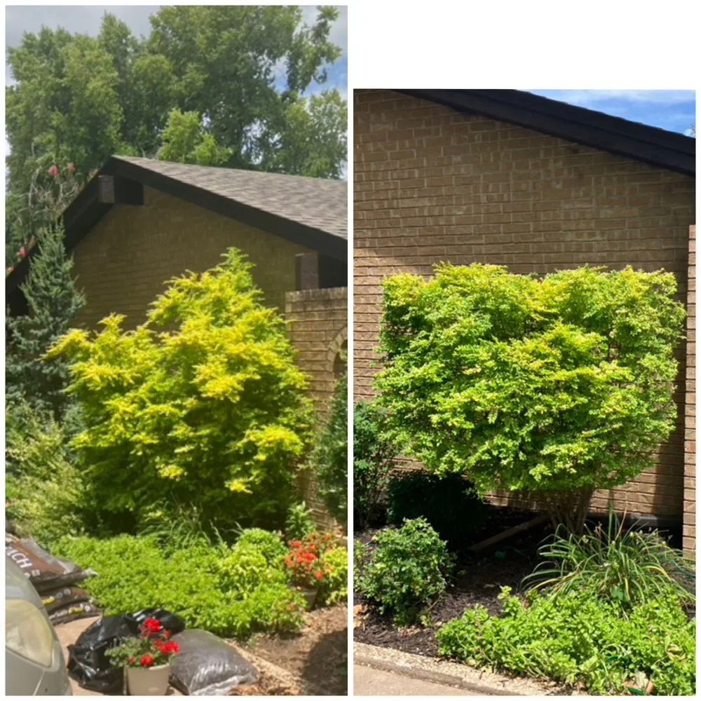 Trusted lawn mowing service for residential properties across Moore, OK - Right Landscaping