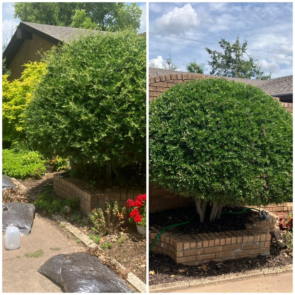 Affordable landscape installation for outdoor upgrades in Moore, OK by Right Landscaping