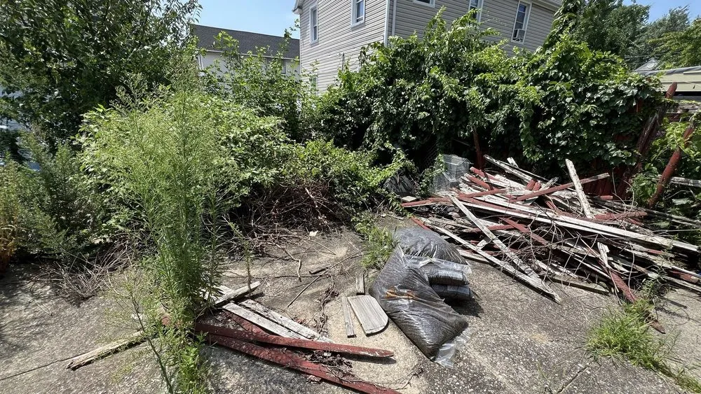 Local yard maintenance for beautiful yards in Jamaica, NY by Right Lawn Care Inc