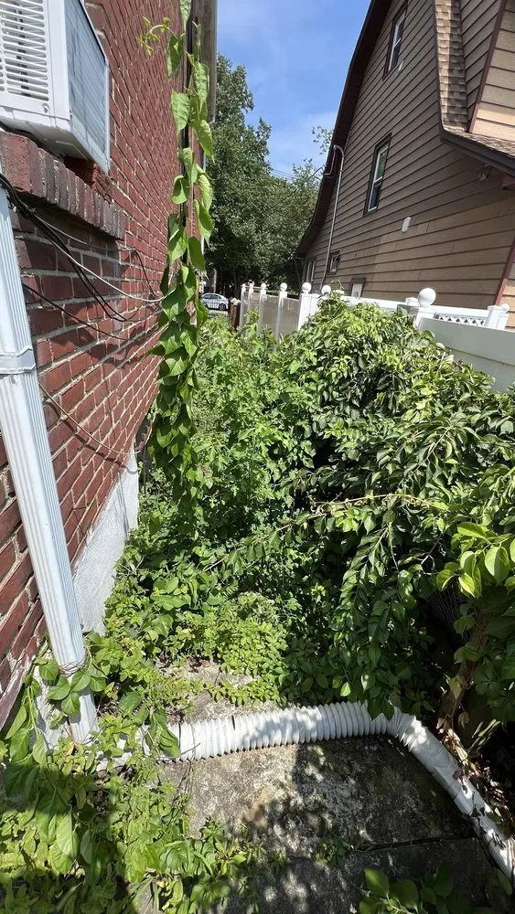 Top-rated lawn care service experts serving Jamaica, NY - Right Lawn Care Inc