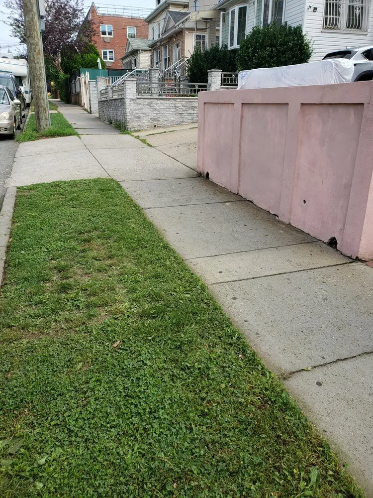 Professional lawn mowing service experts serving Jamaica, NY - Right Lawn Care Inc