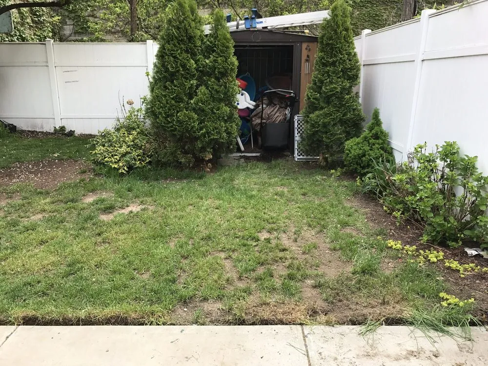 Expert lawn care service in Jamaica, NY - Right Lawn Care Inc