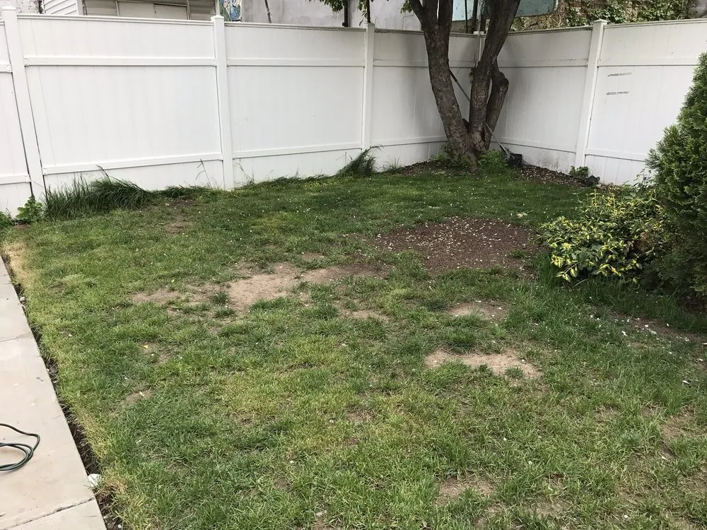 Professional residential landscaping near you across Jamaica, NY - Right Lawn Care Inc