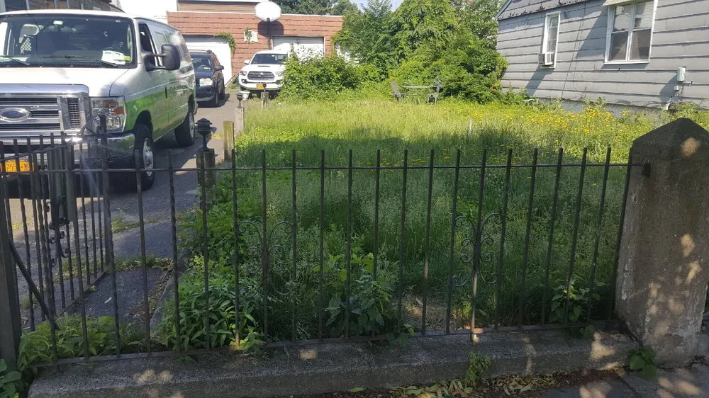 Top-rated lawn mowing service for beautiful yards across Jamaica, NY - Right Lawn Care Inc