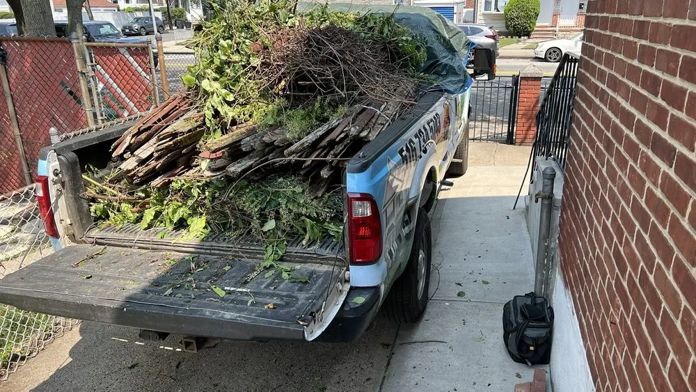 Professional lawn care service for outdoor upgrades in Jamaica, NY by Right Lawn Care Inc