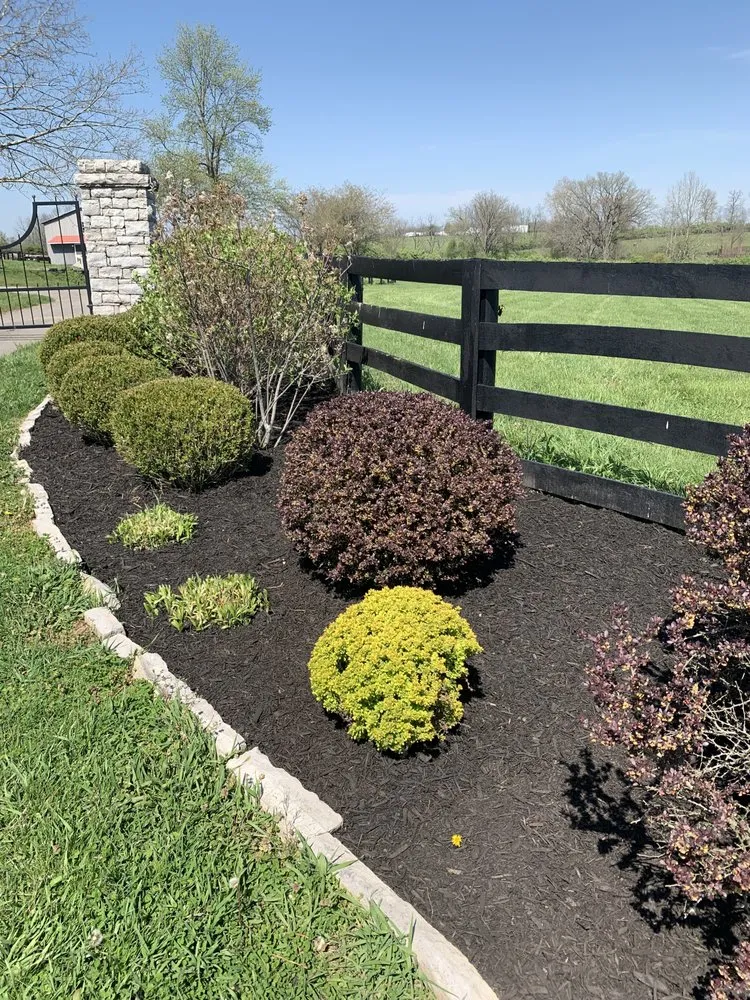 Custom landscaping services for year-round maintenance across Lexington, KY - Right Now Landscaping