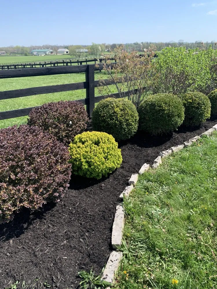 Local lawn mowing service for beautiful yards in Lexington, KY by Right Now Landscaping