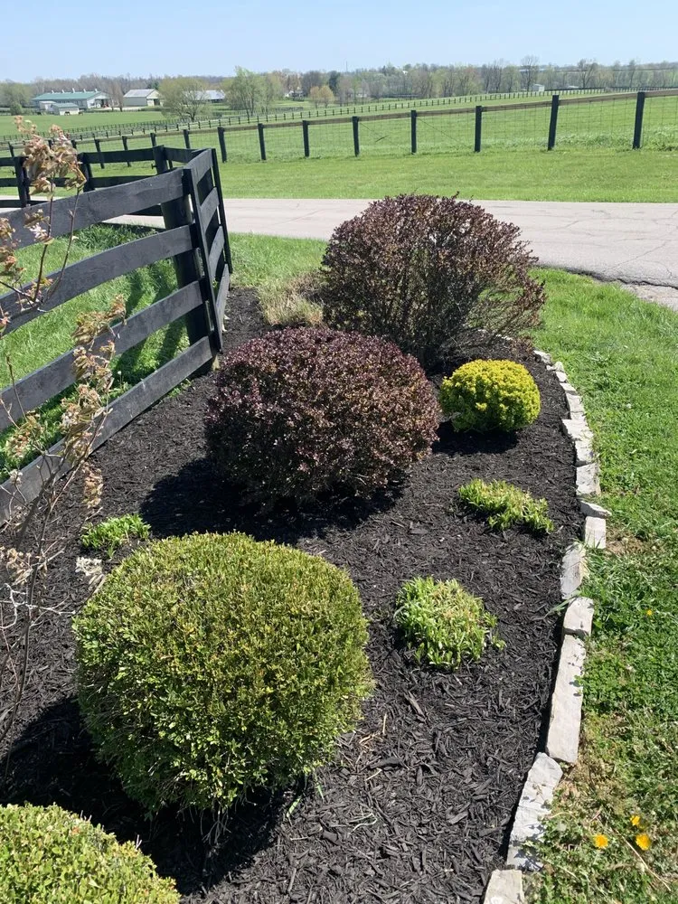 Top-rated landscaping services experts serving Lexington, KY - Right Now Landscaping