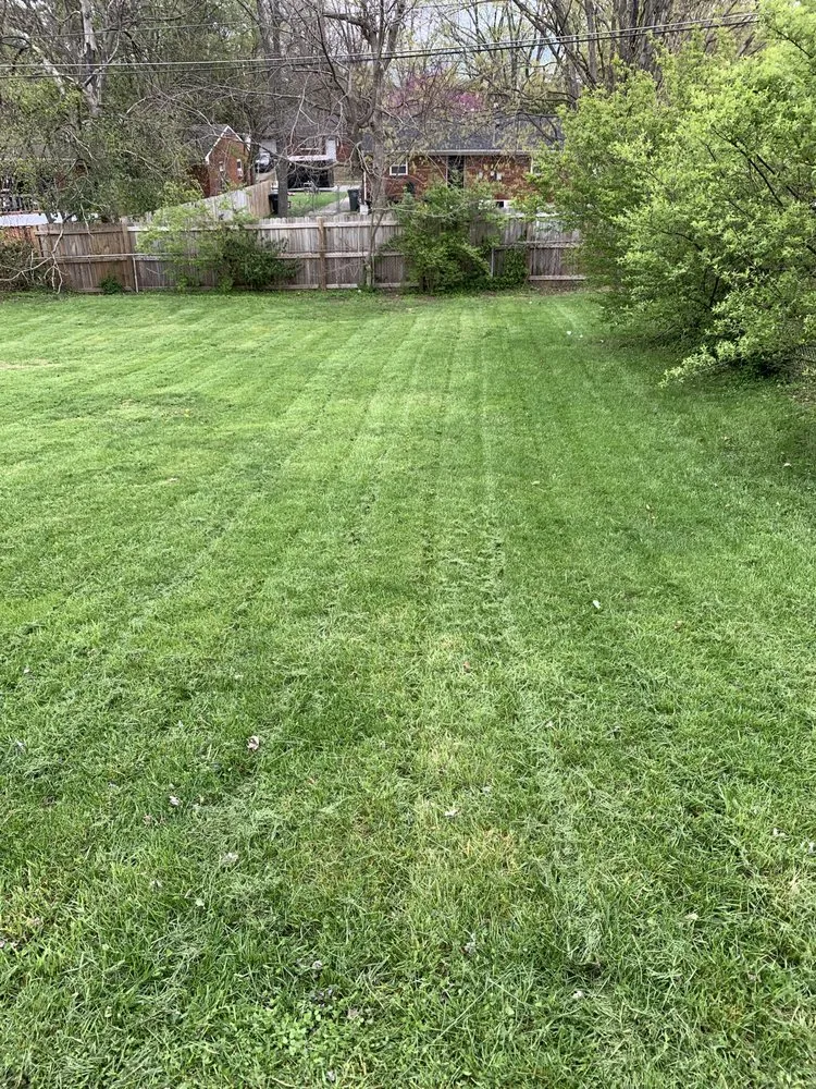 Top-rated lawn care service for residential properties across Lexington, KY - Right Now Landscaping