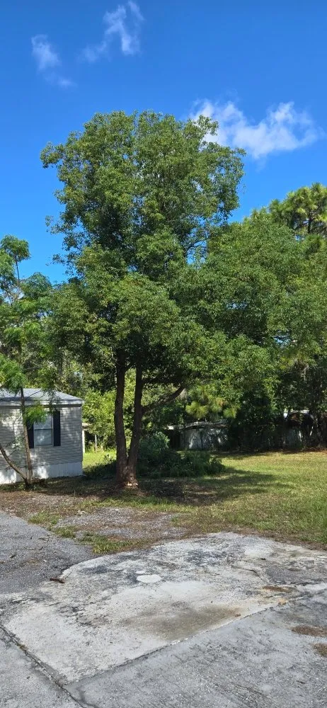 Reliable residential landscaping for outdoor upgrades in Spring Hill, FL by Right Now Trees