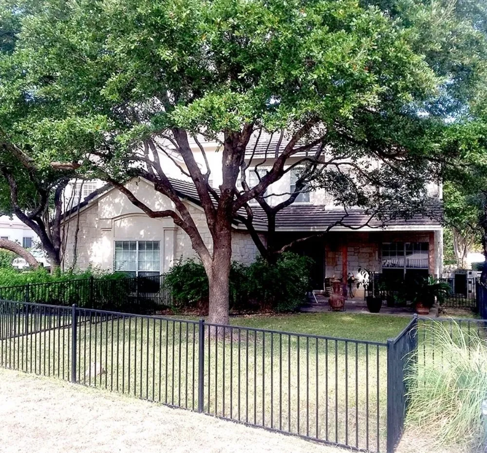 Affordable lawn care service experts serving Spring Hill, FL - Right Now Trees