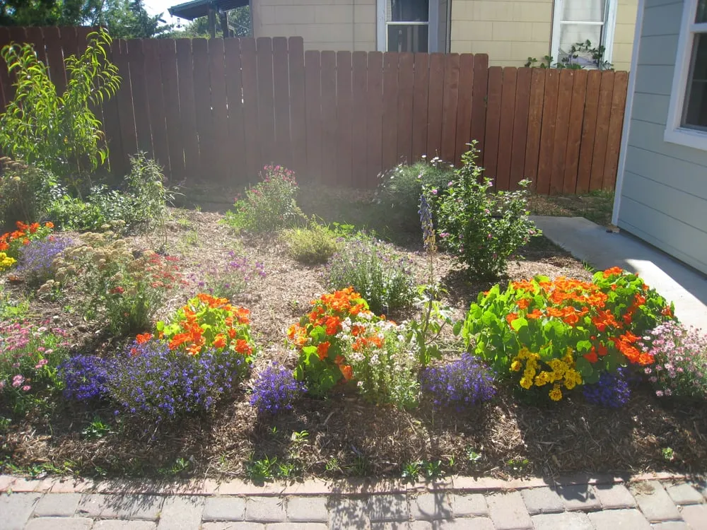 Local garden landscaping in Albany, CA - Right On Thyme