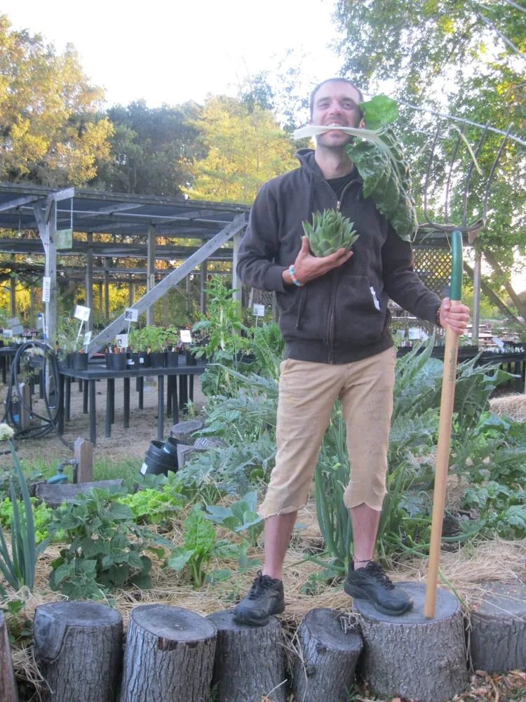 Trusted outdoor landscaping in Albany, CA - Right On Thyme