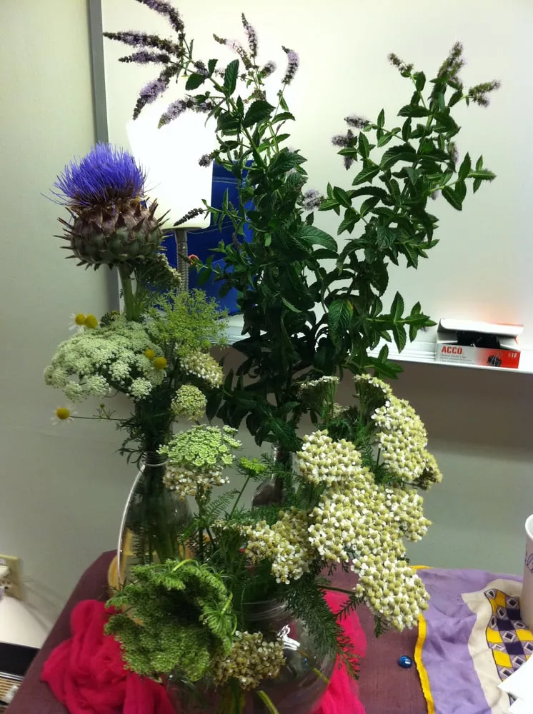 Trusted outdoor landscaping in Albany, CA - Right On Thyme