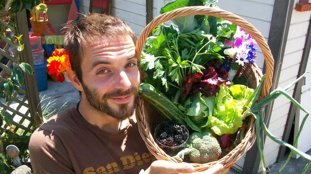 Local yard maintenance for outdoor upgrades in Albany, CA by Right On Thyme