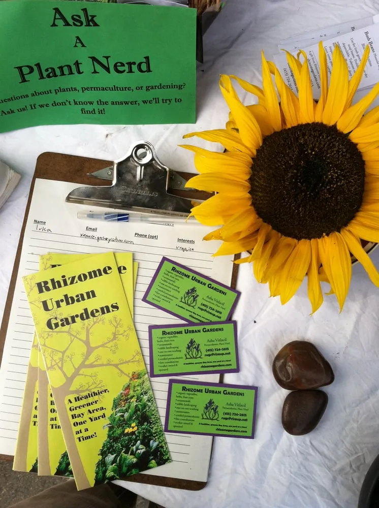 Affordable landscape installation in Albany, CA by Right On Thyme