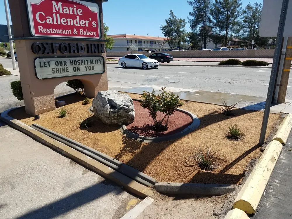 Affordable yard cleanup service for homes in Palmdale, CA by Right Selection Landscaping