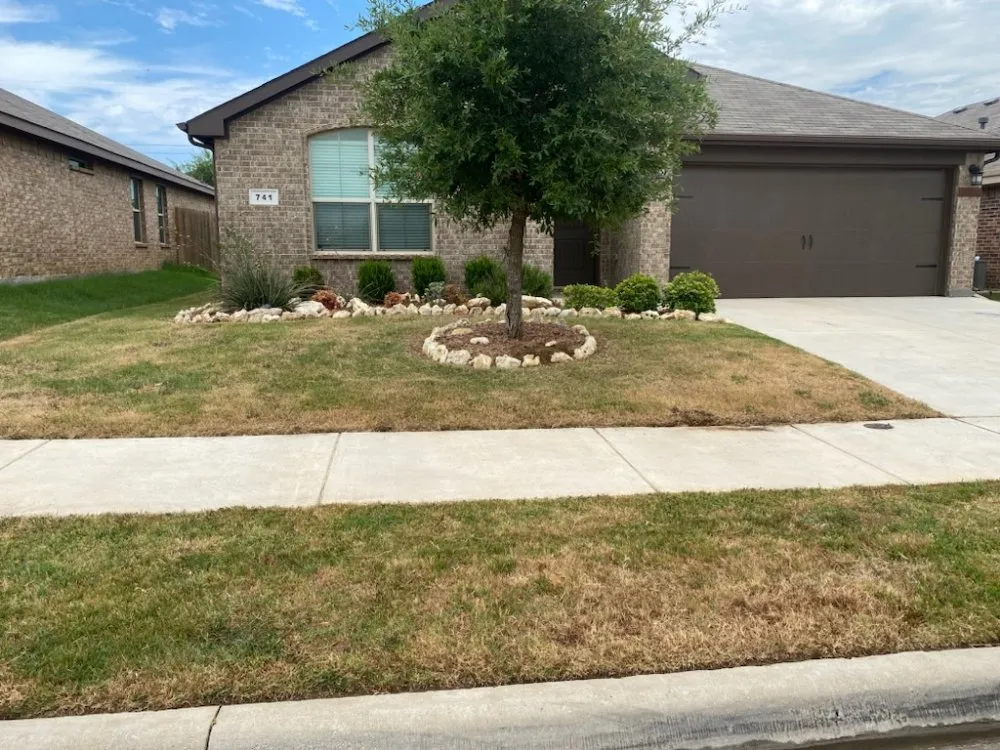 Local yard cleanup service in Alvarado, TX - Right Solution Lawn & Junk