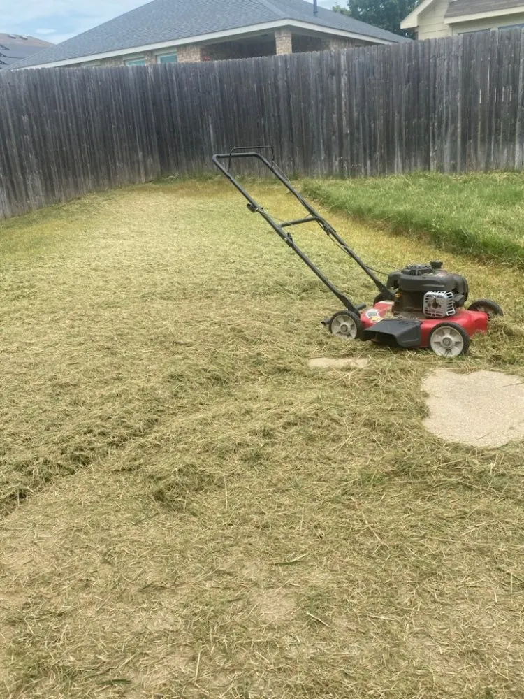 Top-rated lawn mowing service with custom design across Alvarado, TX - Right Solution Lawn & Junk