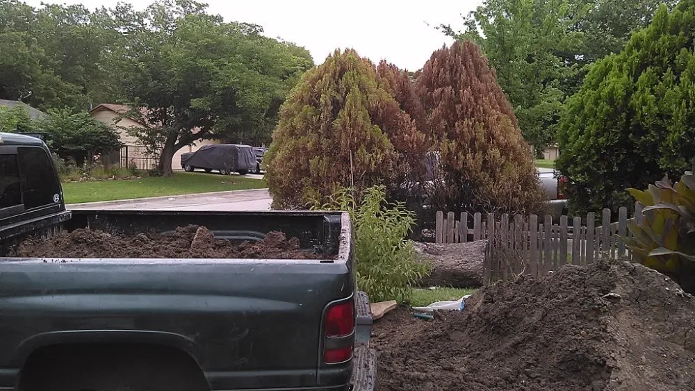 Professional yard cleanup service in Alvarado, TX - Right Solution Lawn & Junk