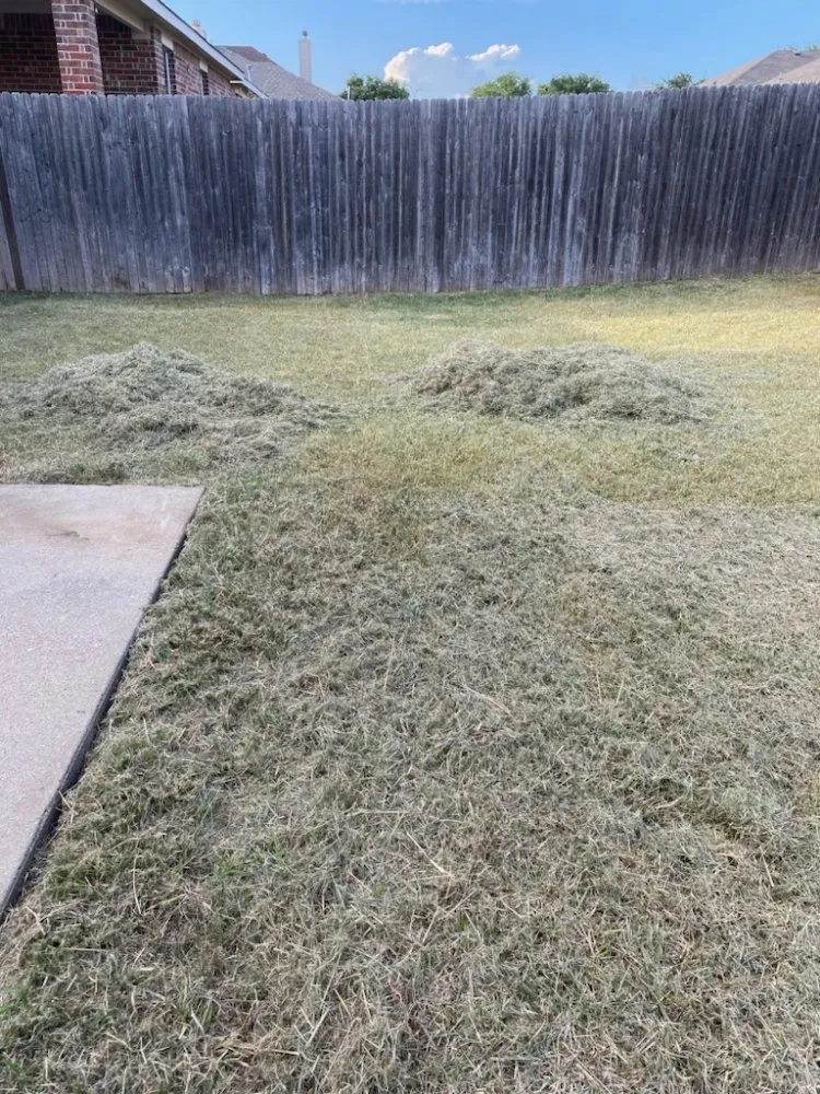 Trusted landscape design in Alvarado, TX - Right Solution Lawn & Junk